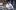 BartholemewFair_Standard_Image_7