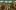 Bossche_Saints_Crispin_and_Crispinian_01