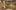 Sam Wanamaker Playhouse Computer Image omputer generated image of an indoor wooden theatre showing the view of the stage from the upper gallery seating