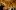 Viewing_ceiling_SWPtours_guidedtours_whatson_standardimage