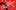 Anti Racist Shakespeare 2021 Standard An illustration of black and white fingerprints on a red background