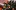 Festive Tour 1600 x 1000