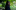 Shakespeare Climate Change Films Anglia Ruskin University Shakespeare's Globe A woman with long dark hair and wearing a black dress stands in a forest, looking over her shoulder.
